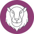 Signe du Zodiac Lion