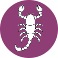 Signe du Zodiac Scorpion